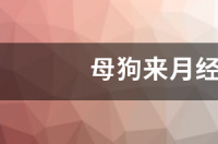母狗来月经多久一次？ 母狗月经多久来一次月经多少天
