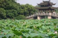 西溪湿地哪个入口进入好玩？ 西溪湿地公园游玩攻略