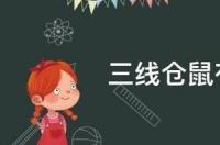 仓鼠三线有哪些品种？ 三线仓鼠有哪些品种
