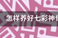 七彩神仙鱼不吃颗粒饲料怎么办？ 七彩神仙鱼不吃食怎么办