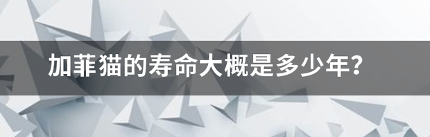 t015d2921f6487d7ff2.png