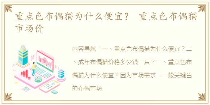 重点色布偶猫为什么便宜？ 重点色布偶猫市场价