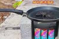 清道夫这种鱼真的可以死复活吗？ 清道夫为什么烤熟了还能复活