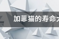 猫多少年寿命？ 猫的寿命是多少年左右