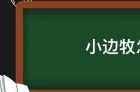 边牧怎么训练？ 边牧怎么训练