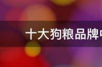 十大狗粮品牌中哪一个好一点 毒狗粮十大品牌