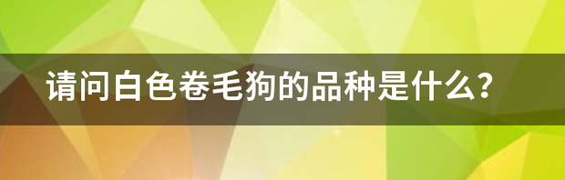 t01967775c42cd768b5.png