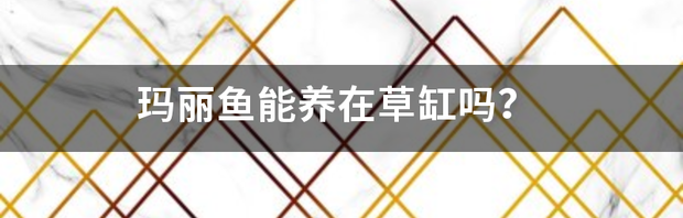 t0185d218f1470082e0.png