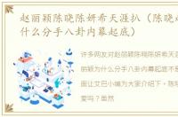 赵丽颖陈晓陈妍希天涯扒（陈晓赵丽颖为什么分手八卦内幕起底）