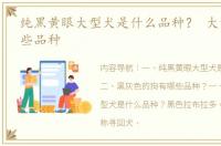 纯黑黄眼大型犬是什么品种？ 大型狗有哪些品种