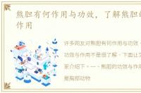熊胆有何作用与功效，了解熊胆的功效与作用