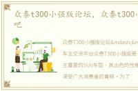 众泰t300小强版论坛，众泰t300小强版贴吧