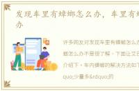 发现车里有蟑螂怎么办，车里有蟑螂怎么办
