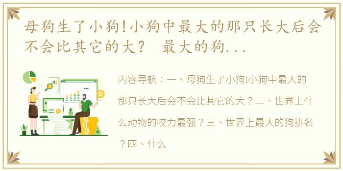 母狗生了小狗!小狗中最大的那只长大后会不会比其它的大？ 最大的狗狗排行榜