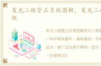 发光二极管正负极图解，发光二极管正负极