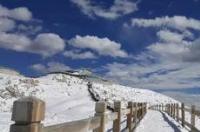 我想约驴友一起去云南旅游，请问哪可以约到驴友？谢谢大家了？ 找驴友去旅游的网站
