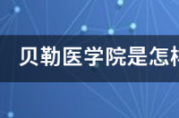 世界大学排名前500名完全名单？ 贝勒大学医学院排名