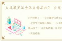 火凤凰罗汉鱼怎么看品相？ 火凤罗汉鱼