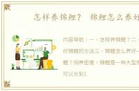 怎样养锦鲤？ 锦鲤怎么养好