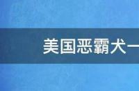 恶霸犬标准体？ 美国恶霸犬体重