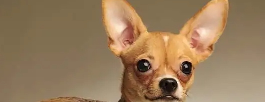 t0128dfd4944db277e1.png