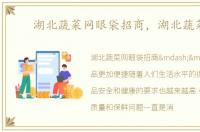 湖北蔬菜网眼袋招商，湖北蔬菜网