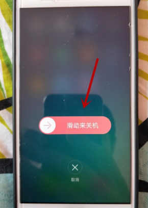 t01918717fdeddb566e.png