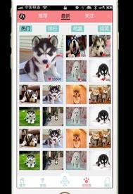 买宠物上哪个app 宠物交易app排行榜