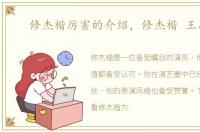 修杰楷厉害的介绍，修杰楷 王思平