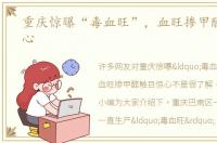 重庆惊曝“毒血旺”，血旺掺甲醛触目惊心