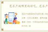 芭乐产地哪里的好吃，芭乐产地