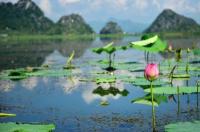 去云南旅游报团只680元,真的吗？ 云南旅行团