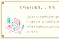 大鸡蛋的图片，大鸡蛋