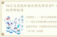 细犬与灵缇和惠比特怎样区分? 川东猎犬纯种的标准