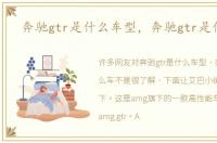 奔驰gtr是什么车型，奔驰gtr是什么车