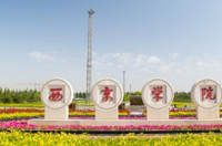 西京学院学费？ 西京学院学费