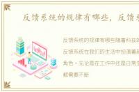 反馈系统的规律有哪些，反馈系统