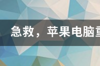在苹果官网怎么下载ios固件，要步骤？ 苹果系统下载安装
