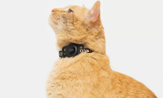 猫用瓷砖可帮助您密切关注室内虎斑猫