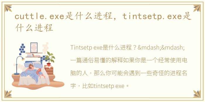 cuttle.exe是什么进程，tintsetp.exe是什么进程
