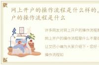 网上开户的操作流程是什么样的，网上开户的操作流程是什么