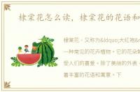 棣棠花怎么读，棣棠花的花语和寓意