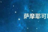 萨摩耶可以吃米饭那些吗？ 萨摩耶吃啥为主食