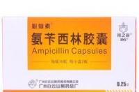 氨苄西林胶囊主治什么疾病的呢？主要的功效是什么呢？有用吗？ 氨苄西林胶囊作用