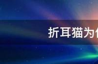 为什么折耳猫不好卖？ 半折耳猫为什么不能养