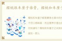 樱桃跟车厘子谁贵，樱桃和车厘子谁贵