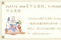 cuttle.exe是什么进程，tintsetp.exe是什么进程