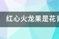 甜菜红和辣椒红的区别？ 甜菜红素和花青素的区别