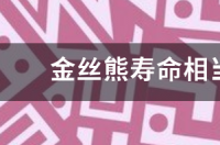 金丝熊寿命一般多久？ 金丝熊寿命相当于人多少岁