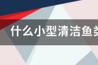 飞凤鱼能去褐藻吗？ 小精灵鱼吃褐藻吗